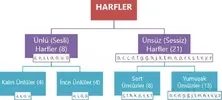 harfler.webp