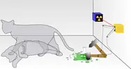 Schrodingers_cat.webp