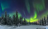 _AURORA_05.webp