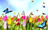 spring-1.webp