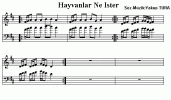 Hayvanlar Ne İster Notası