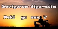 seviyorum.webp