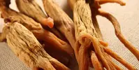 Kırmızı Kore Ginseng - Panax Ginseng