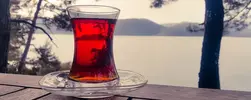 Düzenli Olarak Çay İçmenin Beyin Sağlığını Etkilediğini Gösteren Araştırma