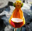 Calceolaria-Uniflora-alien.webp