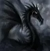 black_dragon.webp