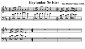 Hayvanlar Ne İster - Notalar