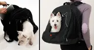 backpack07.webp