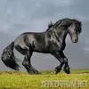 FRIESIAN-ATI.webp