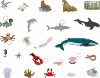 sea_animals_new2.gif