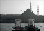 iyotkokusu_istanbul_1_.webp