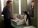 Mr-Poppers-Penguins-0.webp