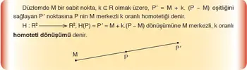 202_homoteti_donusumu.webp