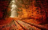 railway-autumn.webp