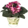 violet-in-floral-motif-pot.webp