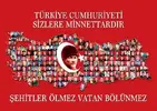 sehit-asker-vatan-bayrak-turk-bozkurt-mehmetcik60.webp