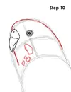 draw-budgie-parakeet-10.webp