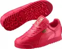 puma2.webp