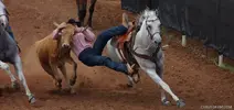 rodeo.webp