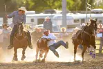 rodeo2.webp