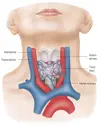 tiroit-bozukluklari-02-01.webp