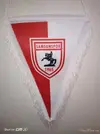 samsunspor.webp