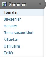 wordpress-tema-kurulumu-2.jpg