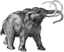 Mamut