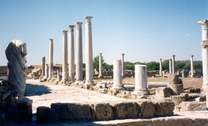 Salamis_gym_01.jpg